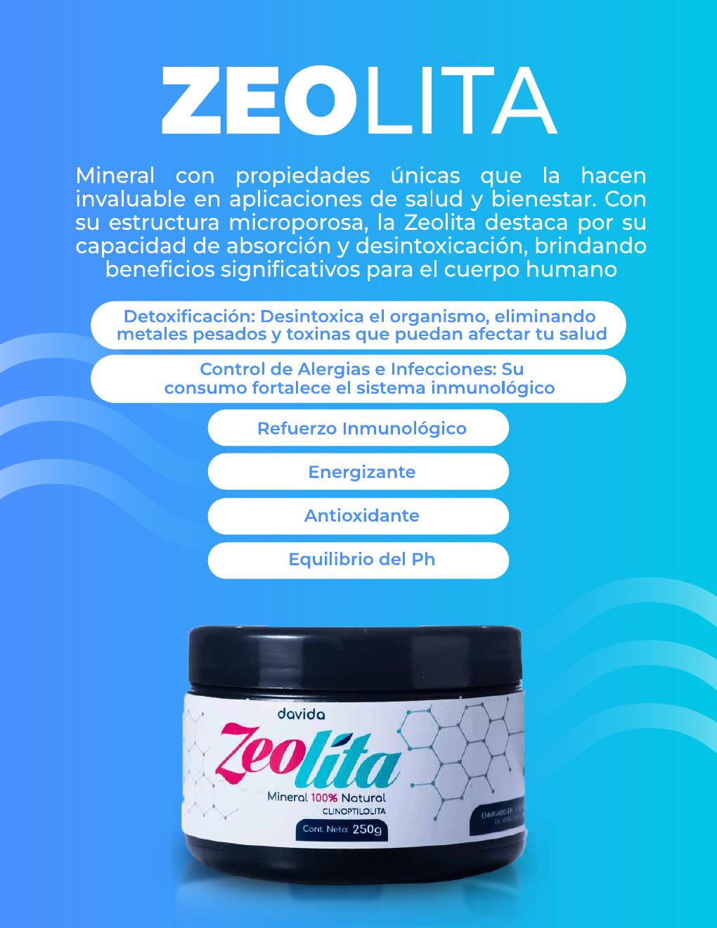 Diseño de catálogo de Zeolita