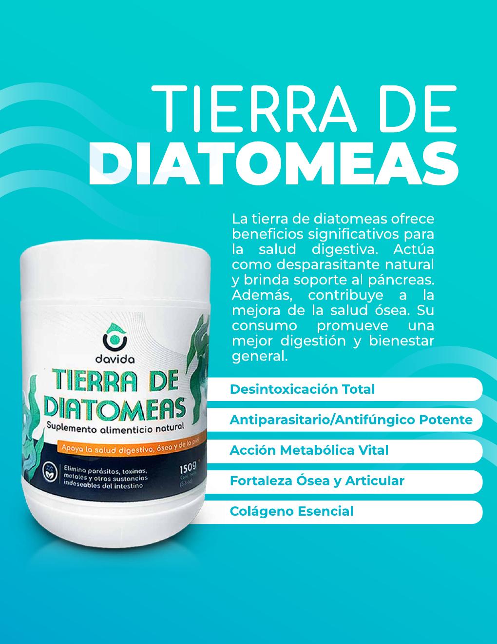 Diseño de catálogo de Tierra de diatomeas